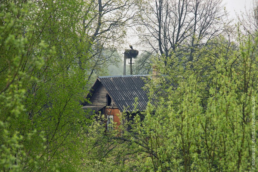 Поездка в Латвию.jpg